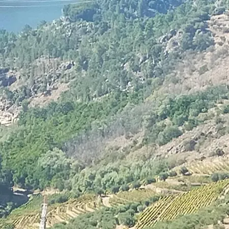 招待所 Casa Da Bela Vista- Al N º 155064 *