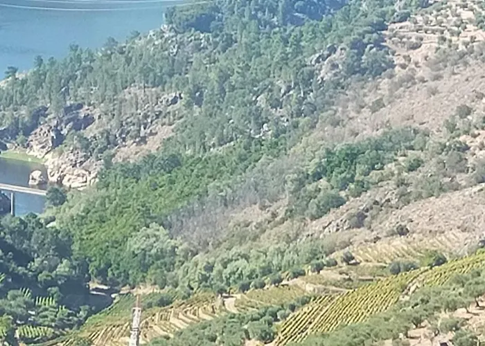 בית הארחה Casa Da Bela Vista- Al N º 155064 *